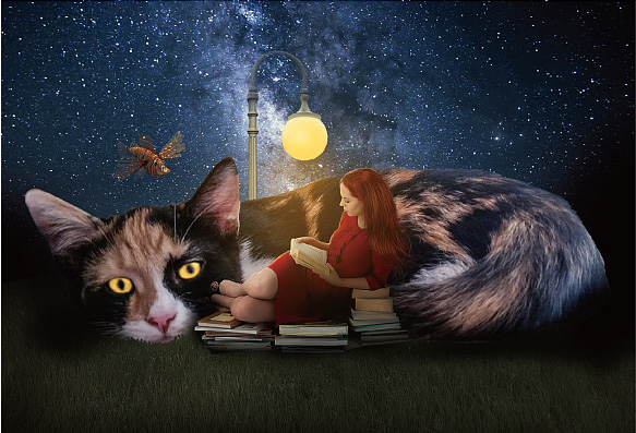 用PS怎么设计震撼海报效果 PS合成星空下的女孩靠在大猫怀里阅读场景