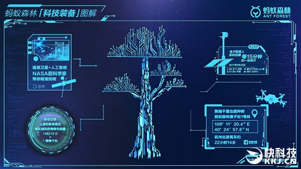 2.3亿人种下1025万棵！从卫星上拍蚂蚁森林：被震撼了