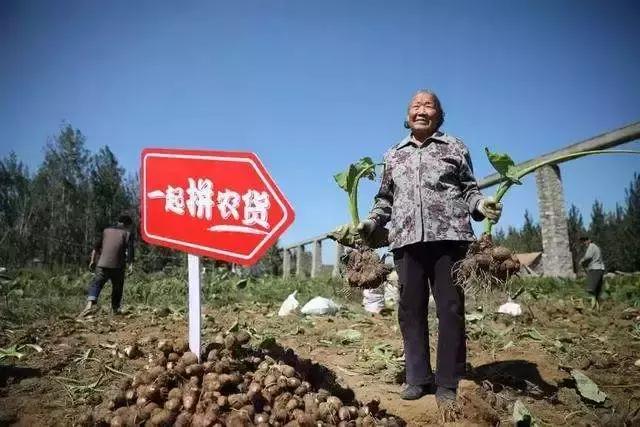 真香警告：吐槽拼多多的城里人都开始下单了！