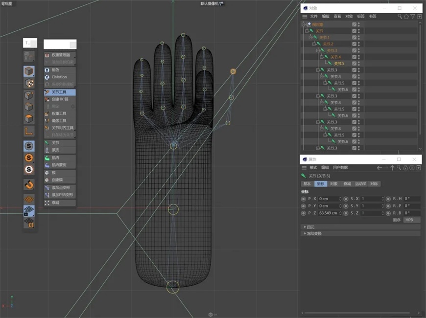 C4D教程！10分钟搞定手部建模及绑定（附源文件）