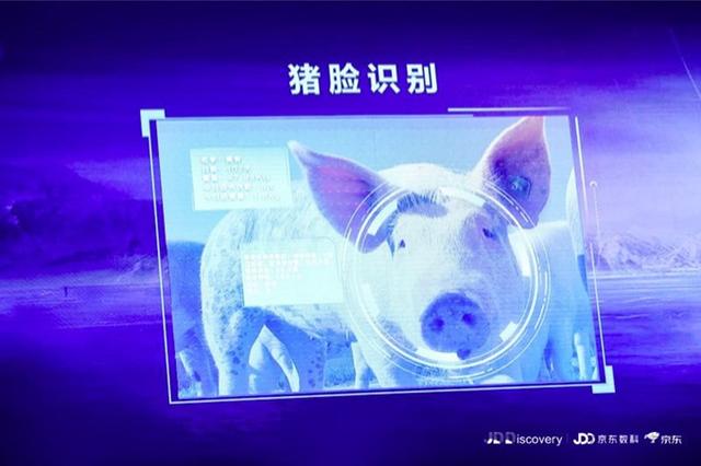 京东宣布要进军养猪业，还推出了“猪脸识别”